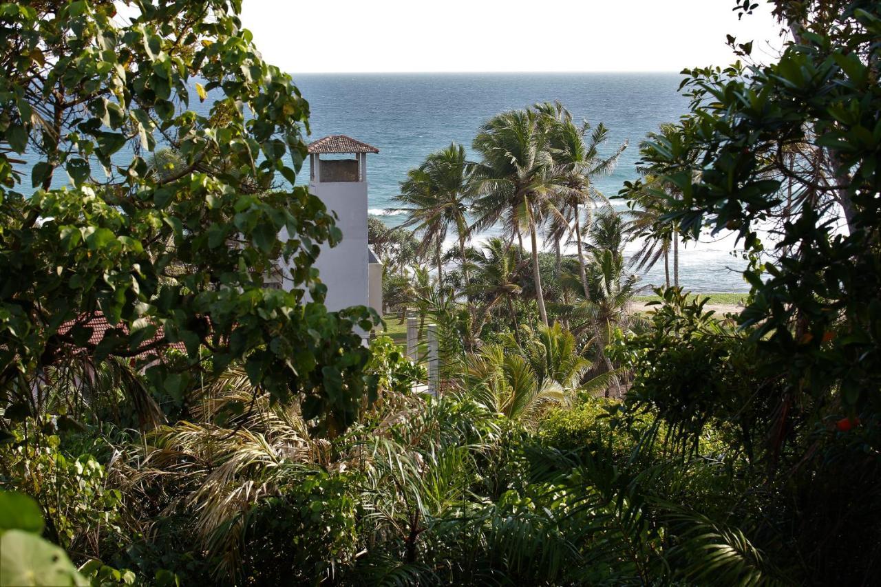 Sky Mountain Cafe With Seaview Acomodação com café da manhã Weligama Exterior foto
